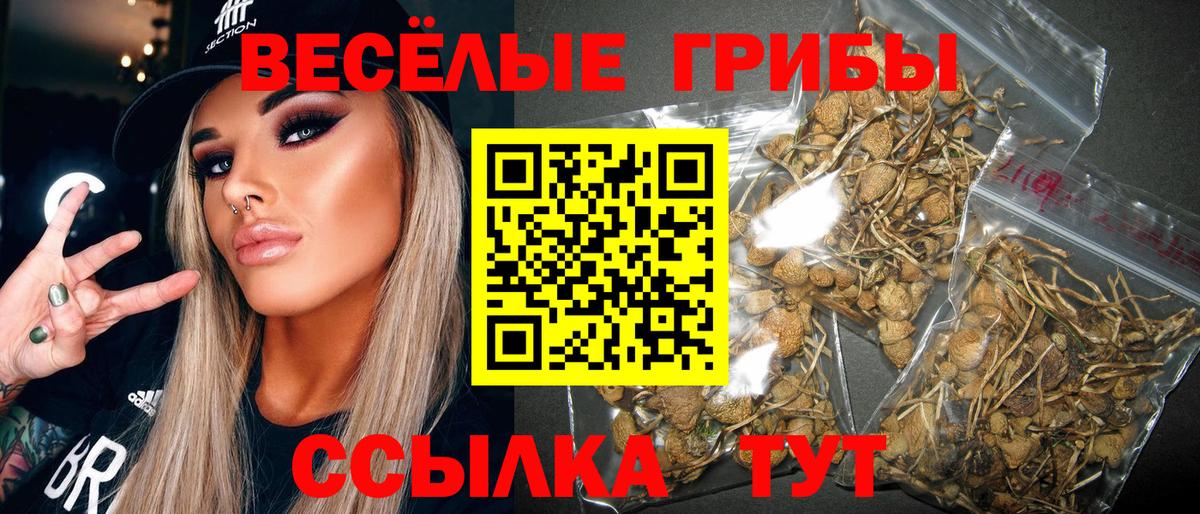 Галлюциногенные грибы мицелий  где купить   Партизанск  Псилоцибиновые грибы ЛСД  Вход с VPN 